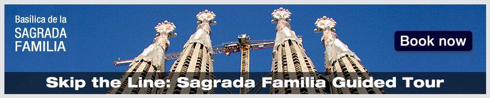 Sagrada Familia Guided Tour: skip the line